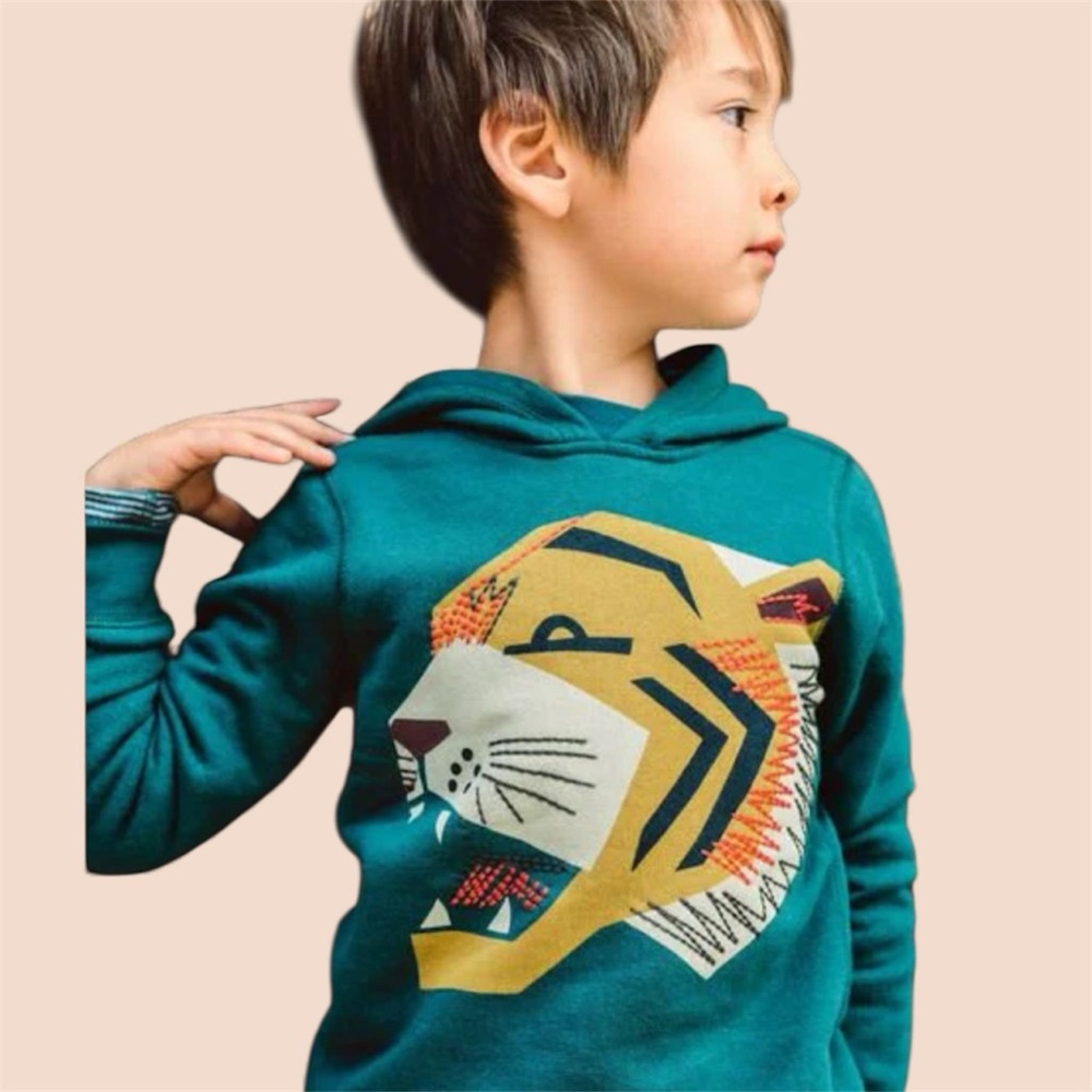 Tea Sweater. kids 4. green Embroidered Tiger Hooded Sweatshirt Popover Hoodie